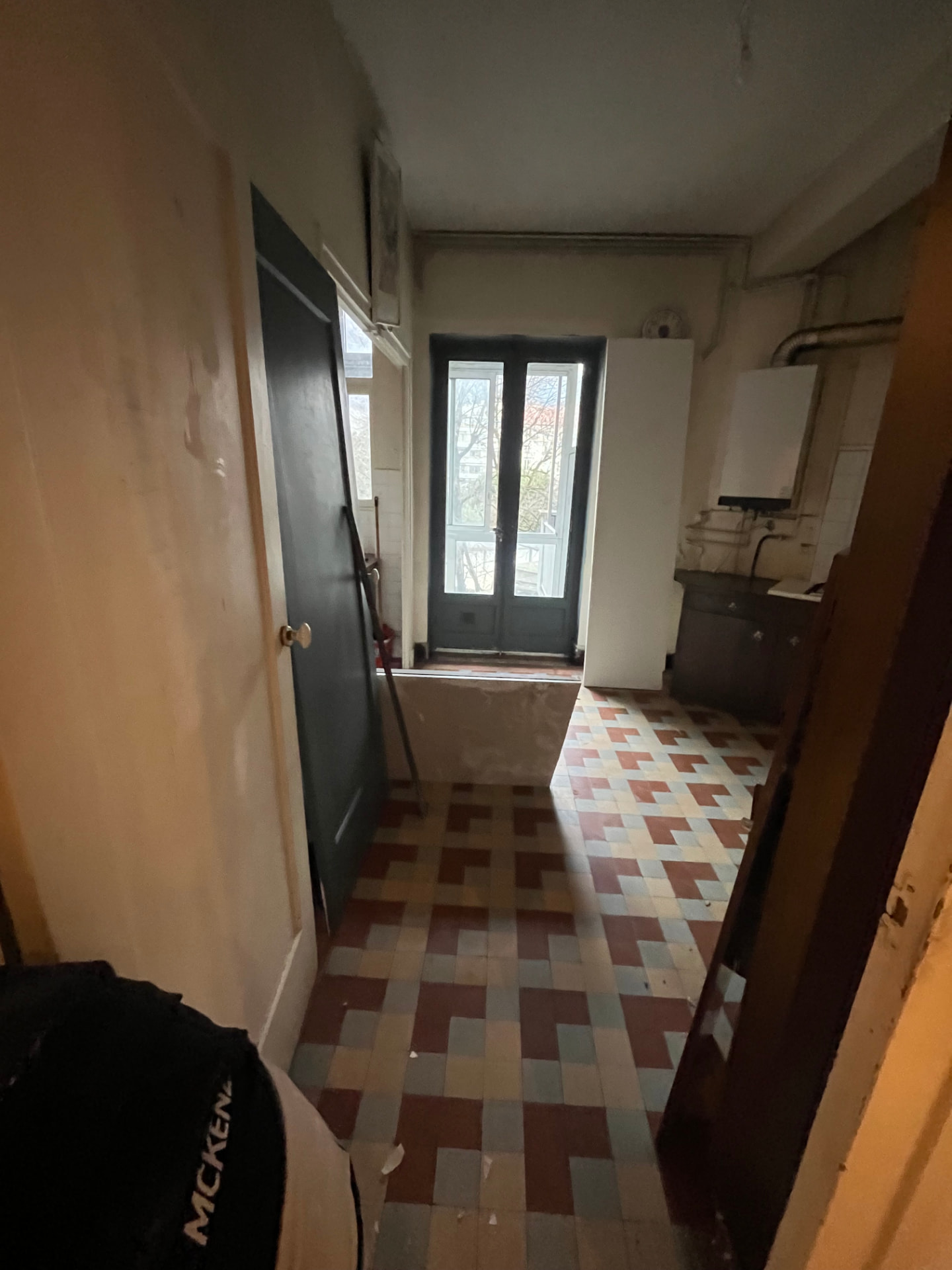 Avant travaux — Grenoble — Île Verte
